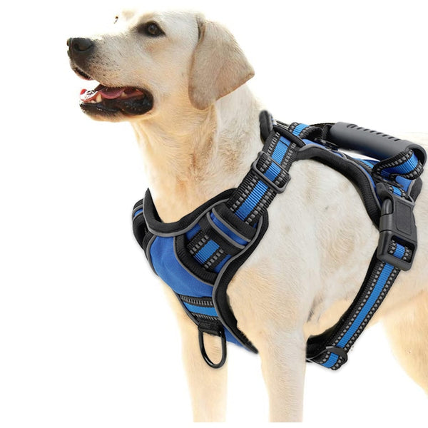 Free-Motion Dog Harness