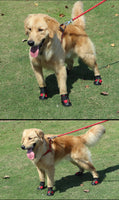 HCPET Dog Boots