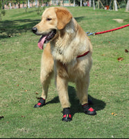 HCPET Dog Boots