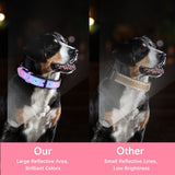 Total-Reflection Dog/ Cat Collar