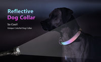 Total-Reflection Customizable Dog/ Cat Collar