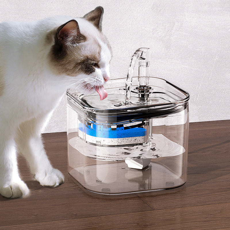 Cat water fountain with hotsell motion sensor